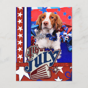 July 4th - Brittany Spaniel - Charlie Postcard