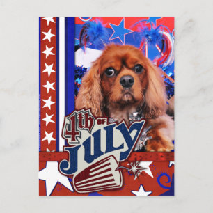 July 4th - Cavalier King Charles Spaniel - Cooper Postcard