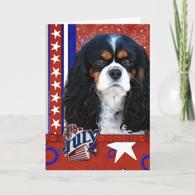 July 4th Firecracker - Cavalier - Tri-color Card (Front)