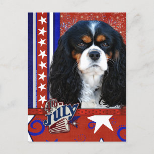 July 4th Firecracker - Cavalier - Tri-color Postcard