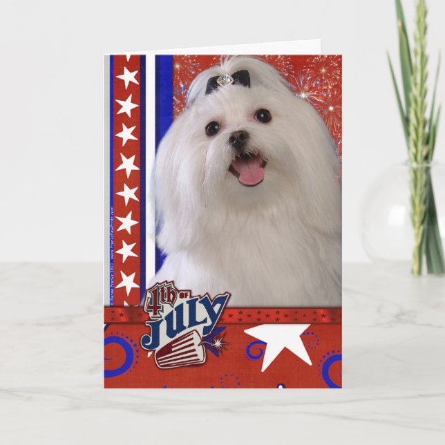 July 4th Firecracker - Maltese Card (Front)