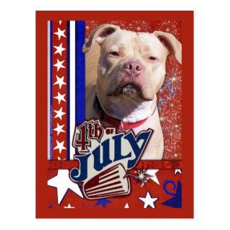 July 4th Firecracker - Pitbull Postcard