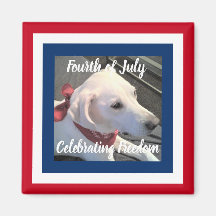 July 4th Red White Blue Cute Dog Wearing Scarf