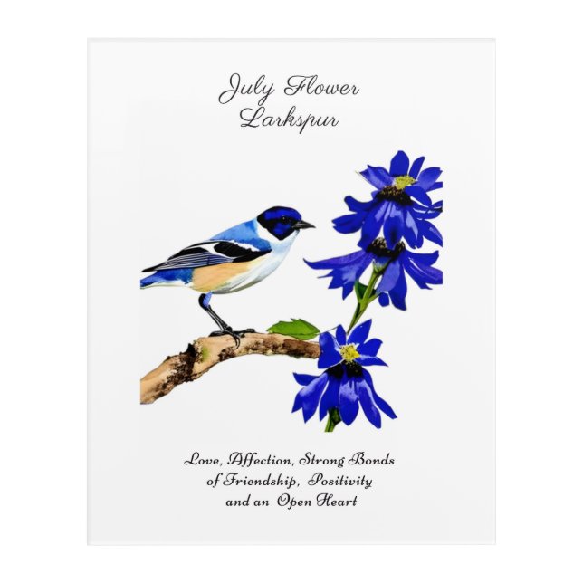 July Birth Month Flower Bluebird and Larkspur    Acrylic Print (Front)