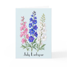 July Larkspur Flowers Greeting