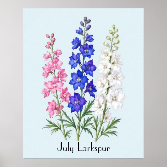 July Larkspur Flowers Poster (Front)
