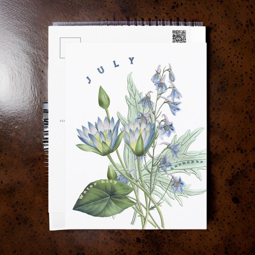 July Month Flowers Larkspur and Water Lily  Postcard