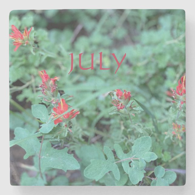 JULY STONE COASTER (Front)