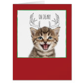 Jumbo Christmas Cats & Doodles Christmas Card (Front)