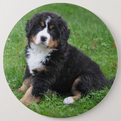 Jumbo custom photo pet pin love your dog button