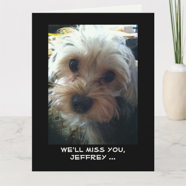 JUMBO Retirement Congratulations from All Cute Dog Card (Front)