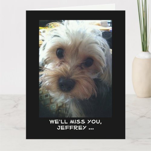JUMBO Retirement Congratulations from All Cute Dog Card