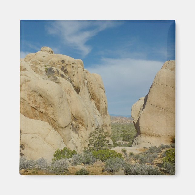 Jumbo Rocks at Joshua Tree National Park Magnet (Front)