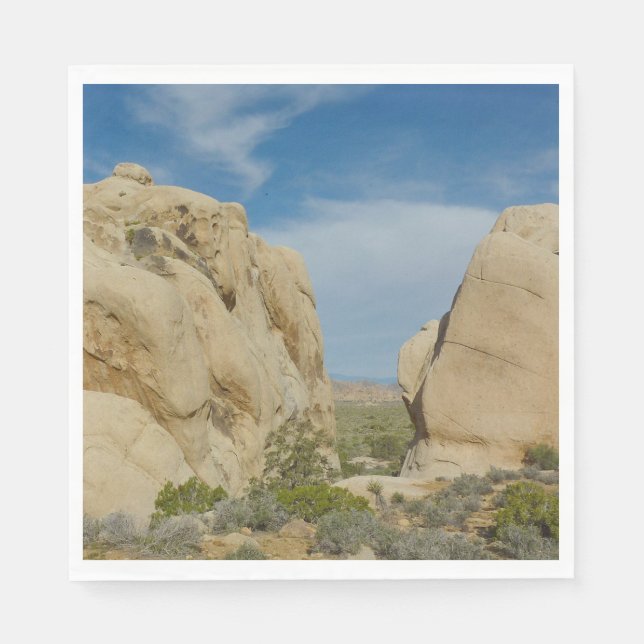 Jumbo Rocks at Joshua Tree National Park Napkins (Front)