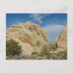 Jumbo Rocks at Joshua Tree National Park Postcard
