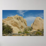 Jumbo Rocks at Joshua Tree National Park Poster