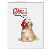 Jumbo Santa Pups Christmas Card (Front)