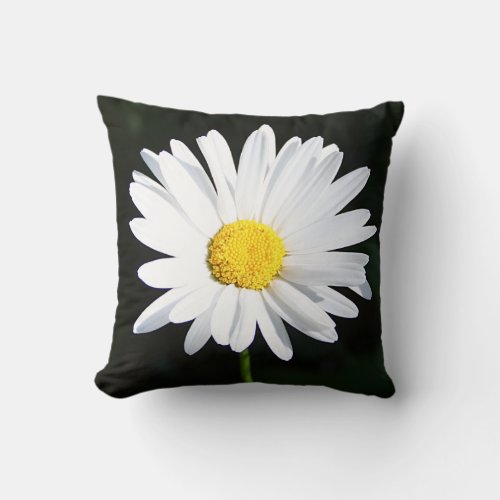 Jumbo White Shasta Daisy Flower Pillow