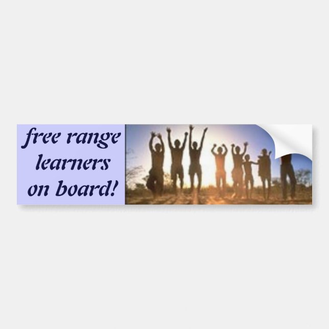 JUMP, free rangelearnerson board! Bumper Sticker (Front)