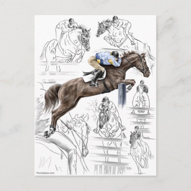 Jumper Horses Fences Montage Postcard (Front)