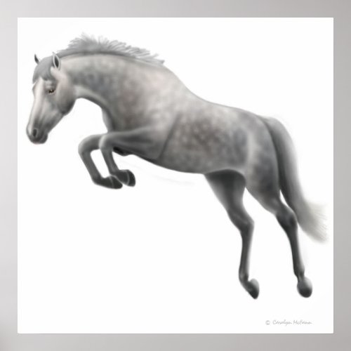 Jumping Dappled Grey Horse Poster