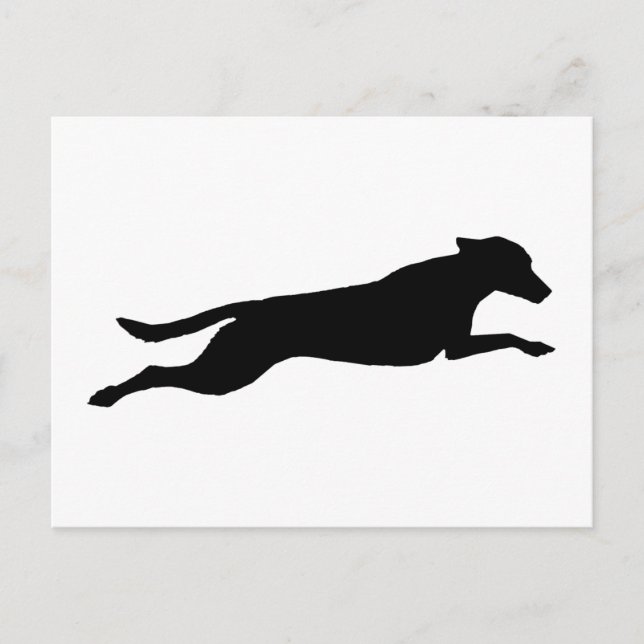 Jumping Dog Silhouette Postcard (Front)