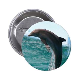 Dolphin Buttons & Pins | Zazzle