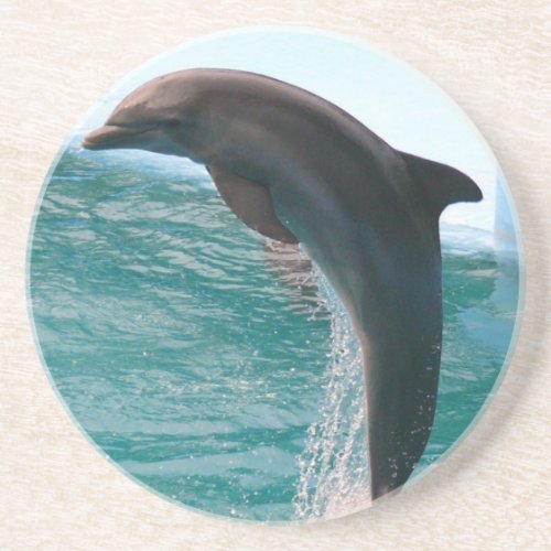 Jumping Dolphin Coaster