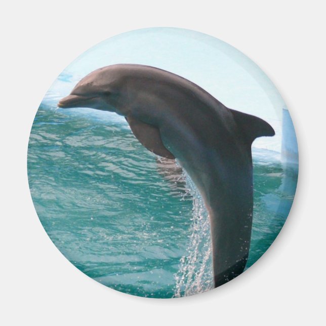 Jumping Dolphin Magnet (Front)
