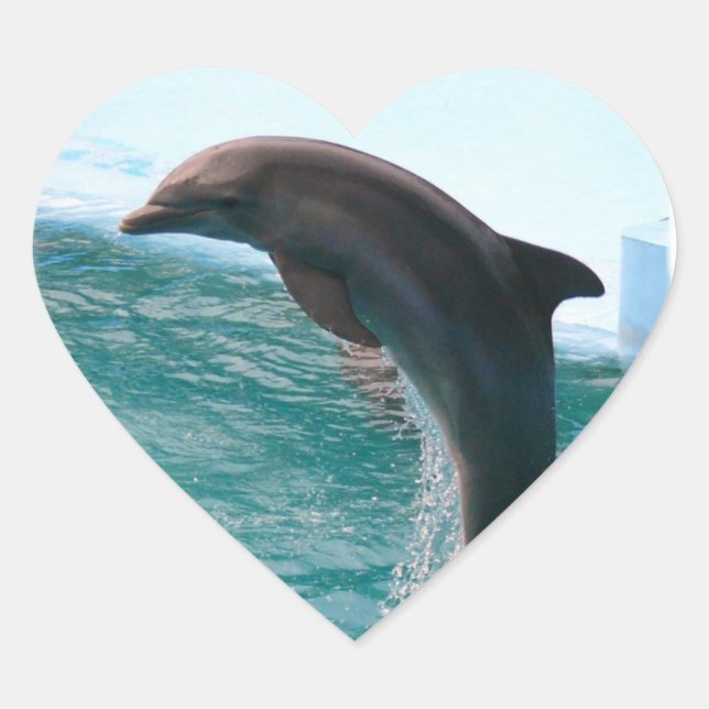 Jumping Dolphin Stickers (Front)