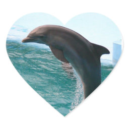 Jumping Dolphin Stickers