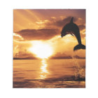 jumping dolphin with beautiful sunset over the sea