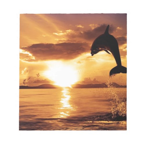 jumping dolphin with beautiful sunset over the sea notepad
