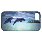 Jumping Dolphins