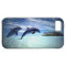 Jumping Dolphins
