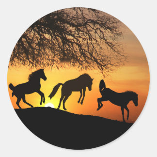 Jumping For Joy Cute Horse Stickers