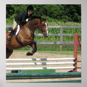 Jumping Horse Poster Print by HorseStall at Zazzle