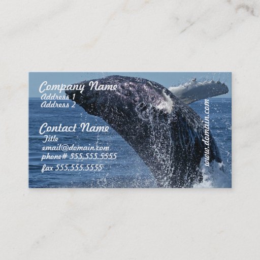 Customizable Jumping Humpback Whale Business Cards