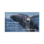 Jumping Humpback Whale Business Cards