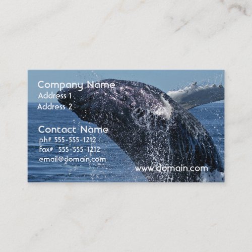 Jumping Humpback Whale Business Cards