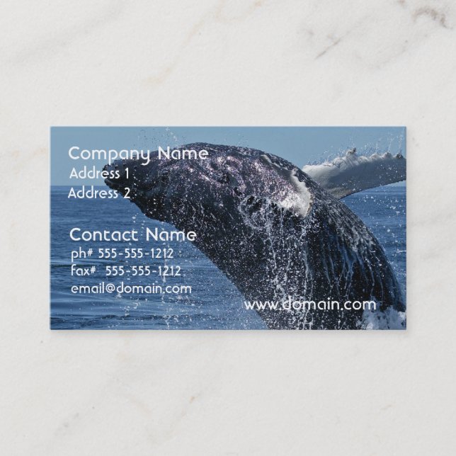 Jumping Humpback Whale Business Cards (Front)