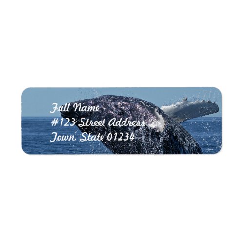 Jumping Humpback Whale  Mailing Labels