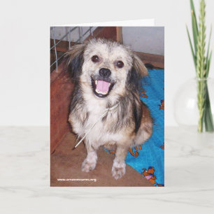 Jumping Jack Flash Greeting Card