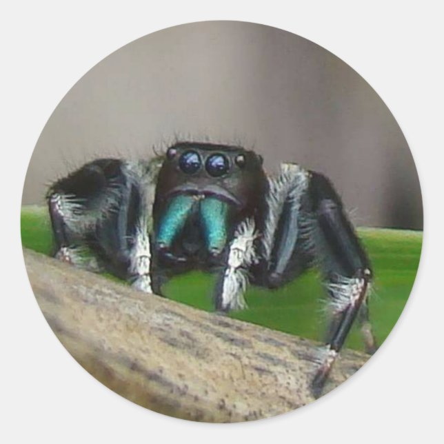 Jumping Jack Stickers (Front)