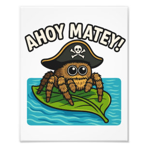 Jumping Pirate Spider Adventure Captain Webbeard Photo Print