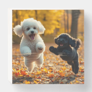 Jumping Poodle Puppies Wooden Box Sign