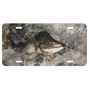 Jumping Salmon License Plate