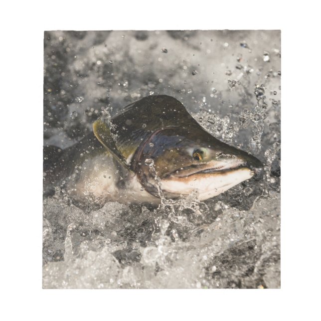 Jumping Salmon Notepad (Front)