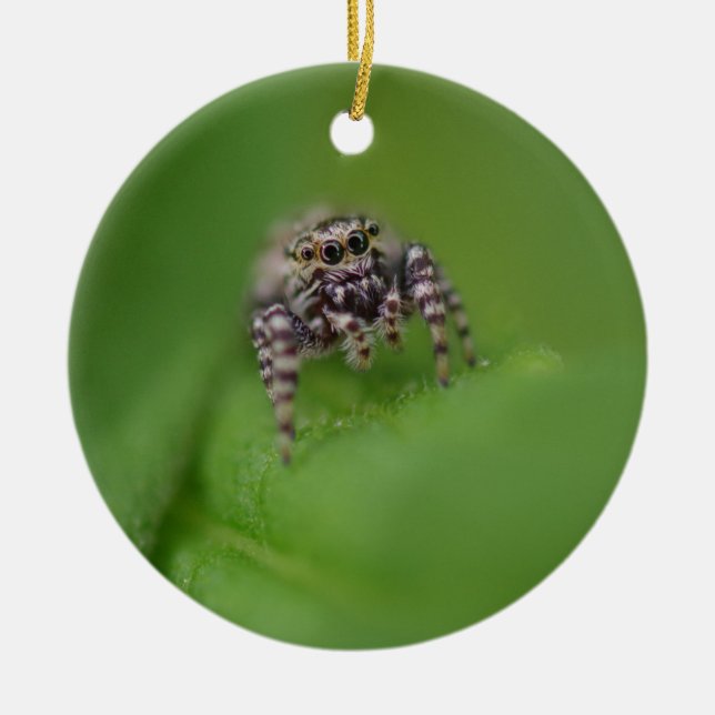 Jumping Spider Christmas Ornament (Front)