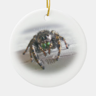 Jumping Spider Phiddipus audax Christmas Ornament